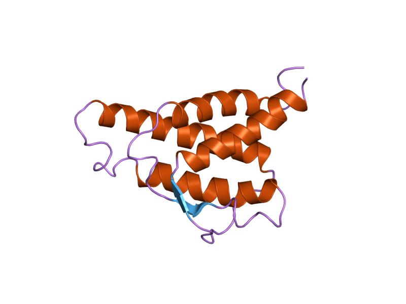 File:PDB 1itl EBI.jpg