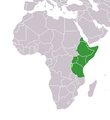 File:Pays Afrique Est.png