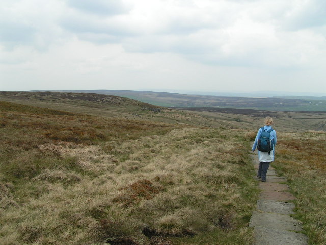 File:Pennine Way, Dick Delf Hill - geograph.org.uk - 45894.jpg