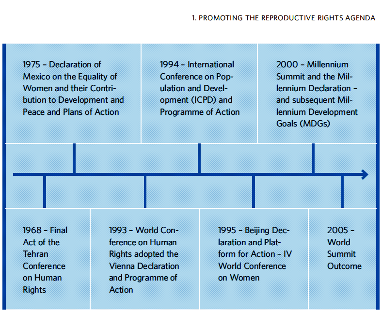 File:Promoting the Reproductive Rights Agenda (UN 2014).png