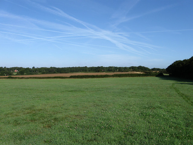 File:Rough Field - geograph.org.uk - 1425469.jpg