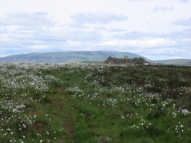 File:Shilhope Law - geograph.org.uk - 16015.jpg