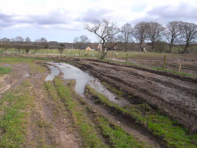 File:St Oswald's Way near Elyhaugh - geograph.org.uk - 1802185.jpg