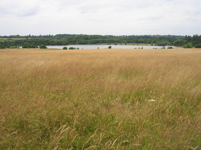 Swan Pool - geograph.org.uk - 198694