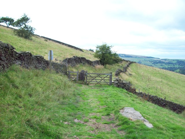 Track to the north of Eccles Pike - geograph.org.uk - 1447133