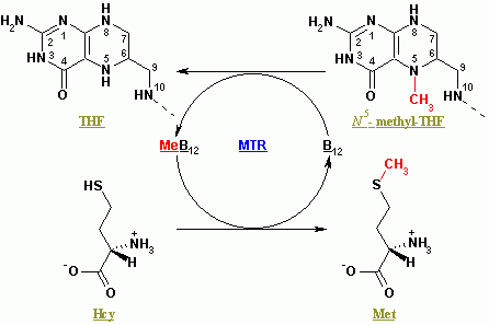 File:VitaminB12 2.png