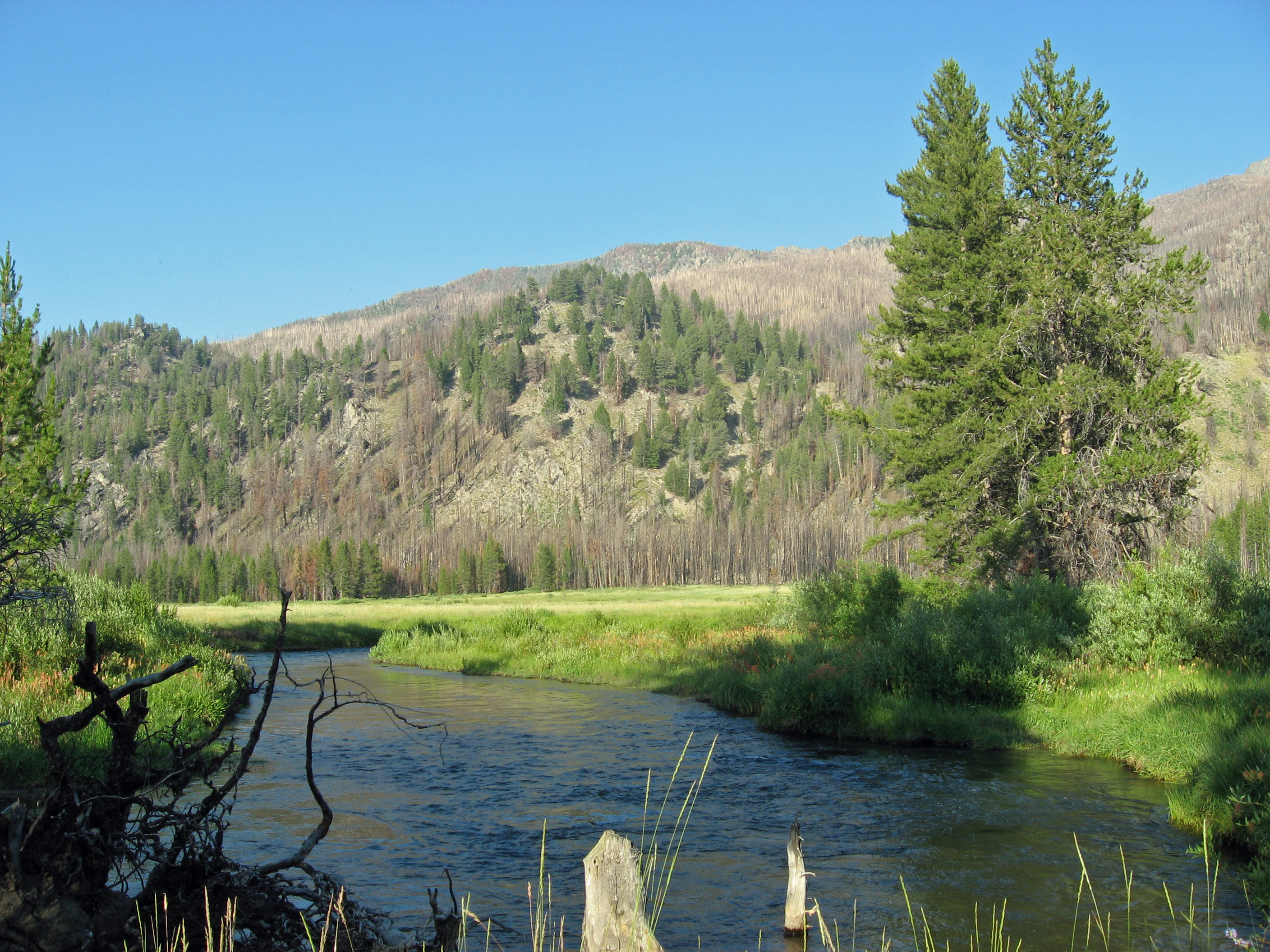 File Warm Springs Creek Sawtooth Nra Jpg Wikimedia Commons