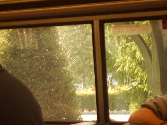 File:White Sulfur Springs Station from inside Amtrak's Cardinal.jpg