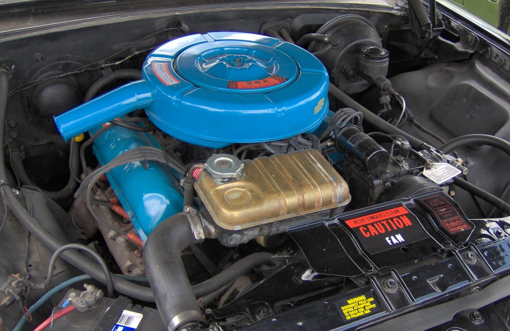 1965 Ford 352 engine color #10