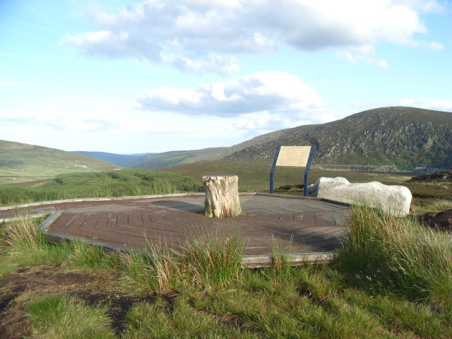 Ancient Tree Stump at the Wicklow Gap - geograph.org.uk - 855584