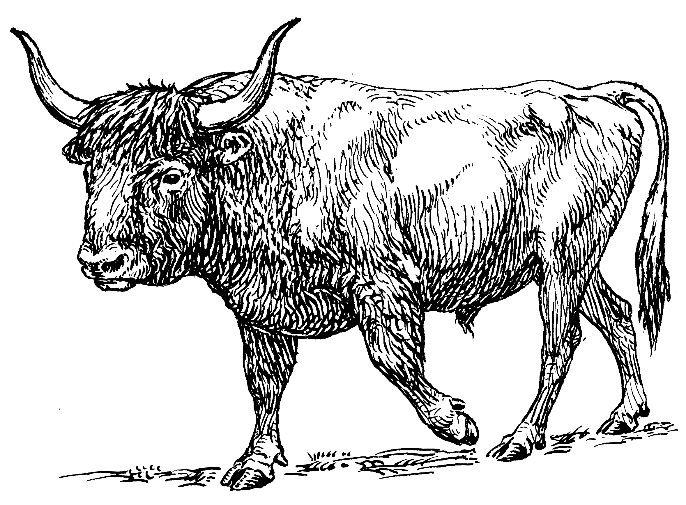 Ficheiro:R101 and cows.jpg – Wikipédia, a enciclopédia livre