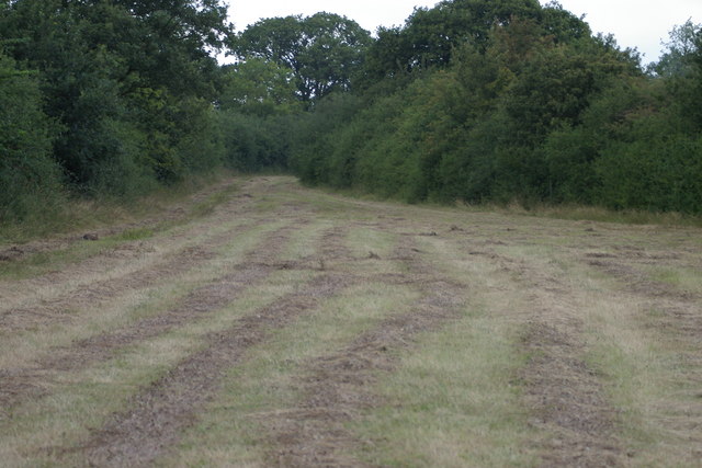 Bernwood Meadow, Bernwood Forest - geograph.org.uk - 219656