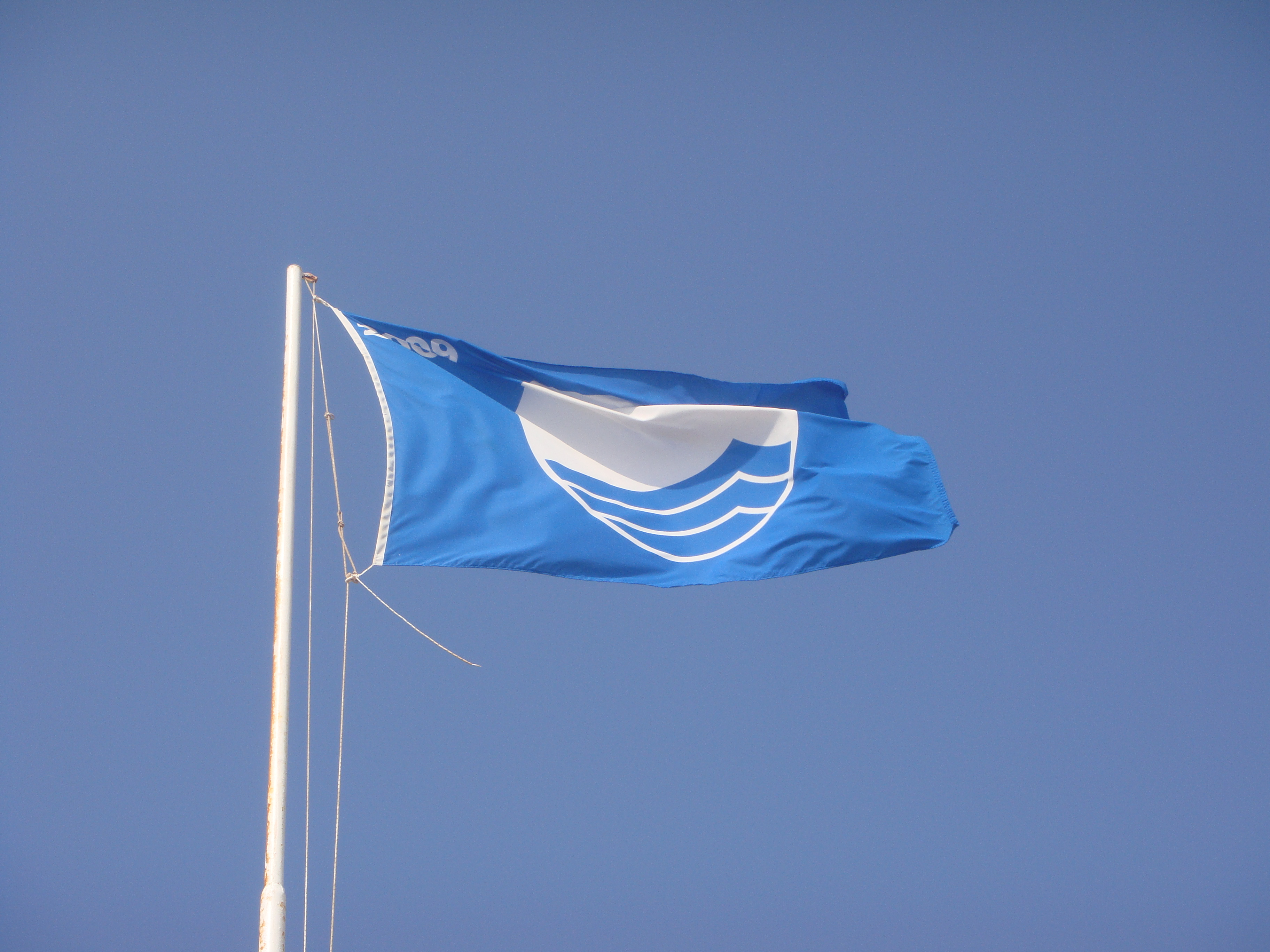 Blue flag