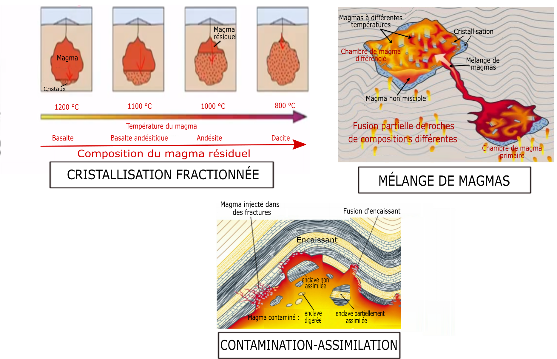 Cristallisation fractionnée (géologie) — Wikipédia