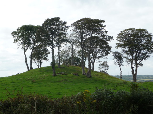 File:Domed mound with trees beside the A5025 - geograph.org.uk - 2585977.jpg