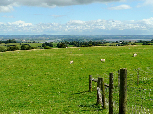 File:Double View 1 - geograph.org.uk - 1459070.jpg