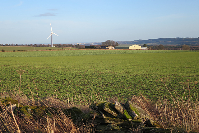 File:East Drums - geograph.org.uk - 5661976.jpg