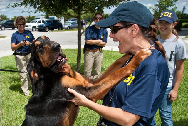 File:FBI agent with police dog.jpg