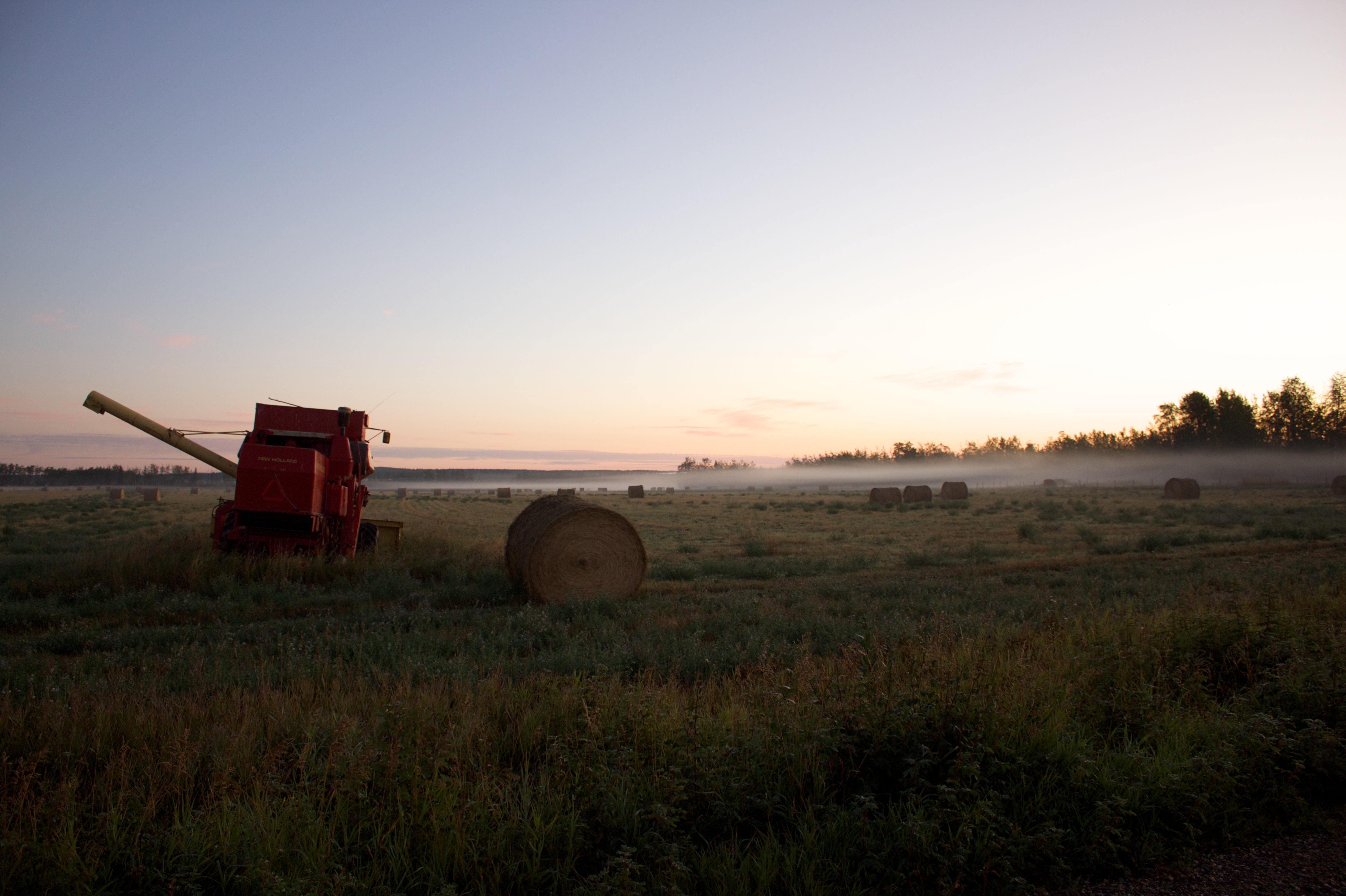 Combined fields