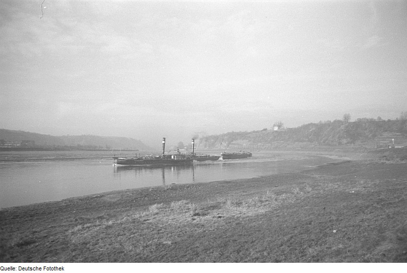 File:Fotothek df pk 0000032 034 Sommer 1947.jpg