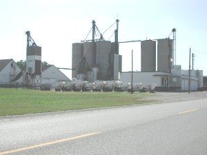 File:Grain elevator 3439.jpg