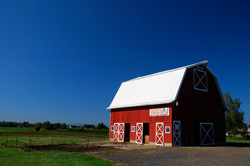 File:Grand Island Road Barn (Yamhill County, Oregon scenic images) (yamDA0042a).jpg