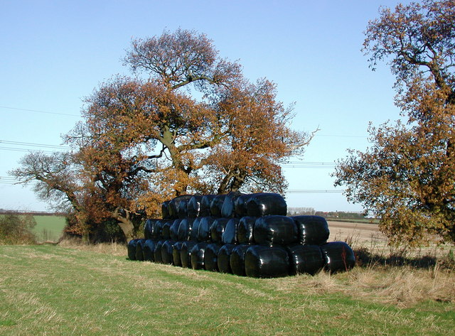 File:Howe Hill, Rowley - geograph.org.uk - 624339.jpg