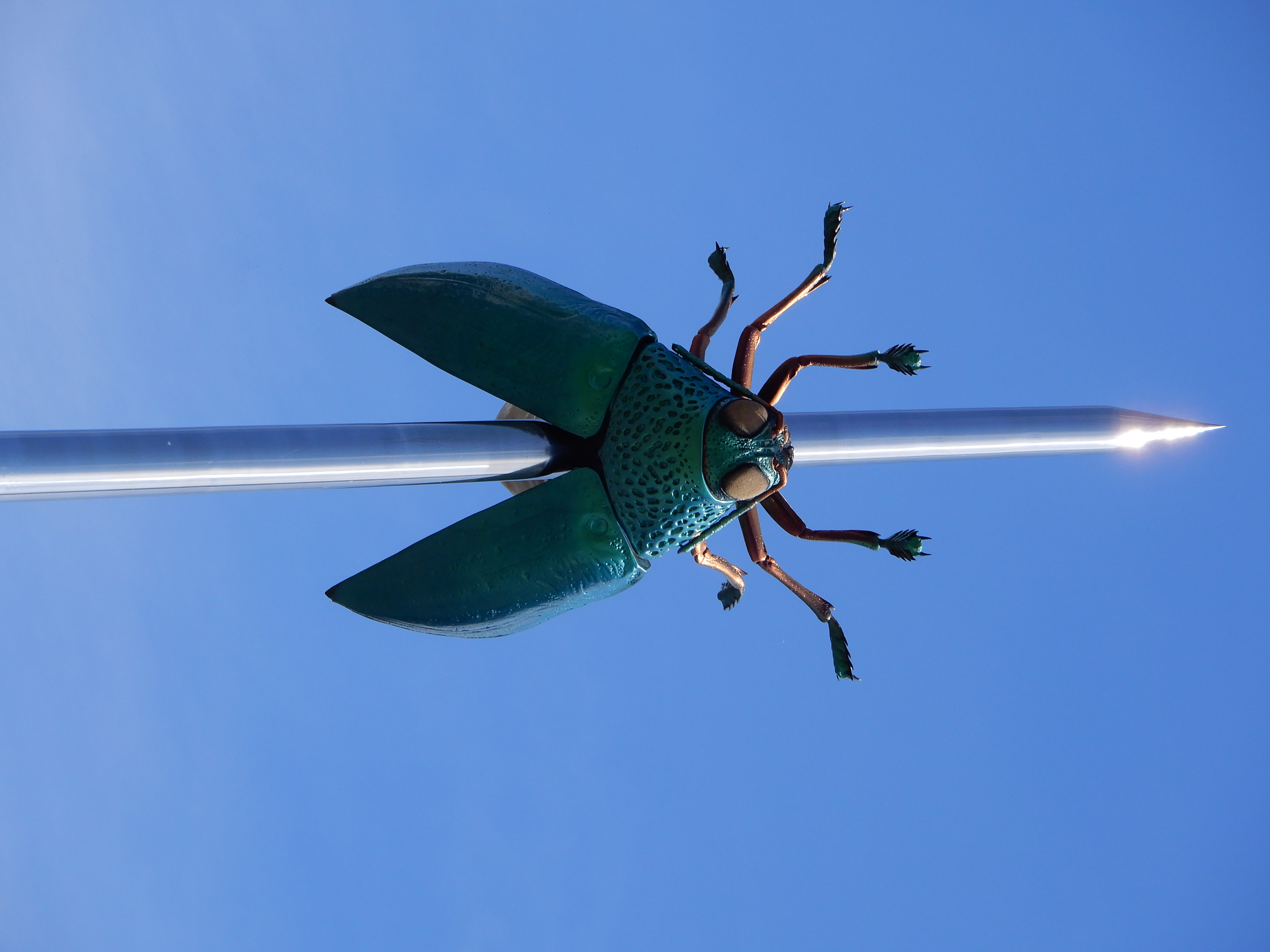 File:Jan Fabre's Beetle  - Wikimedia Commons
