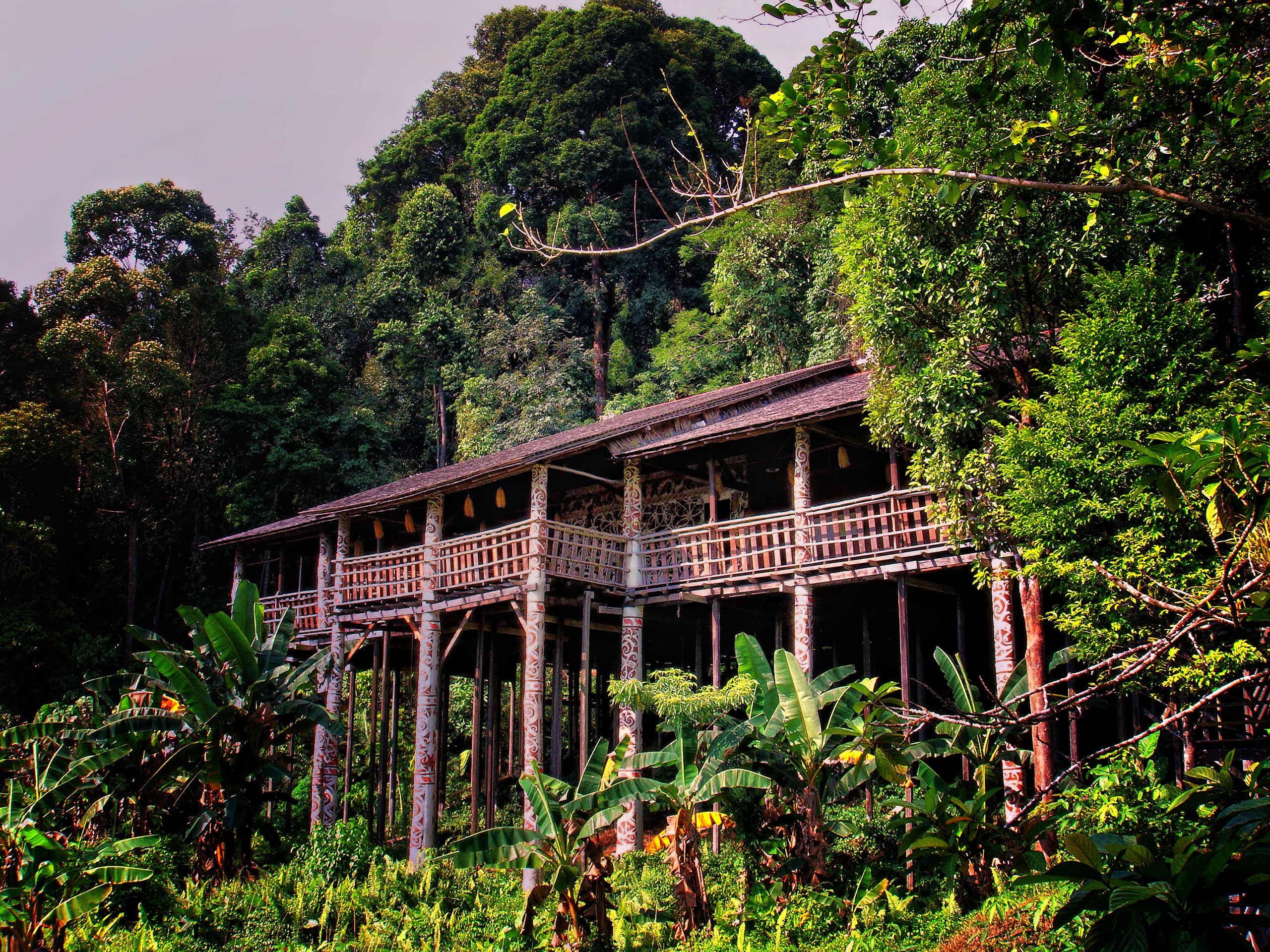 File Longhouse Sarawak  7246599192 jpg Wikimedia Commons