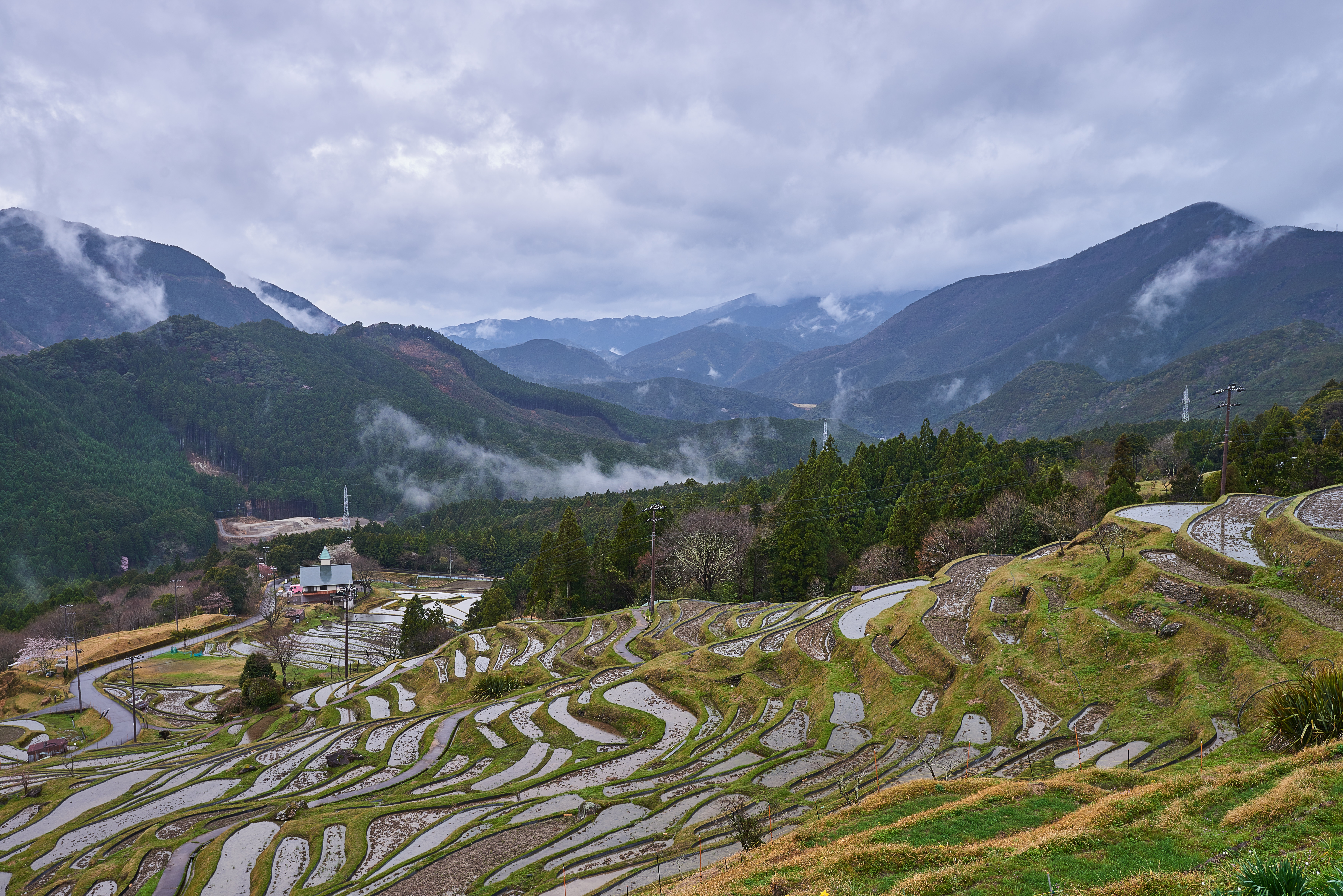 File Maruyama Senmaida Jpg Wikimedia Commons