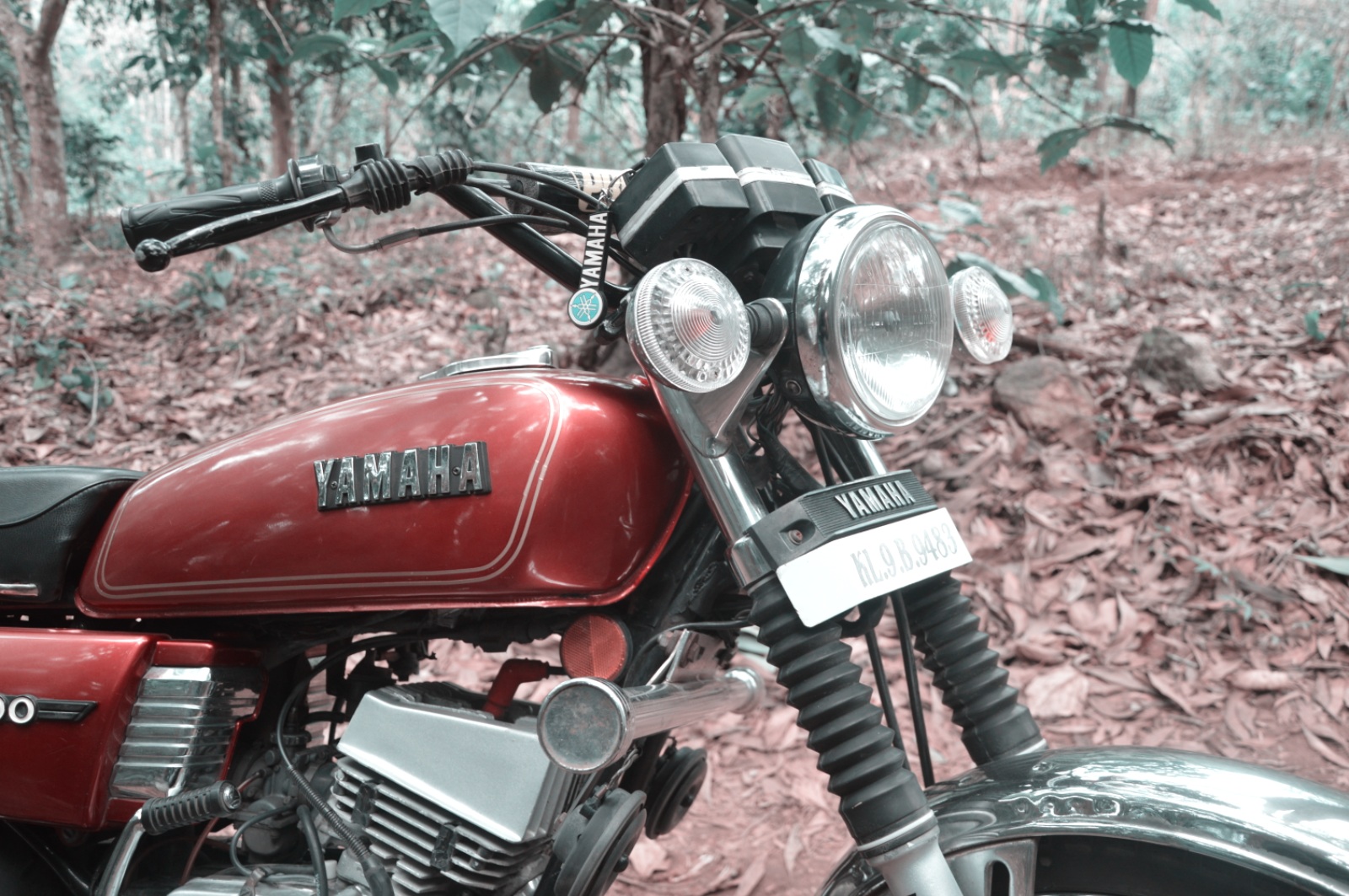 yamaha rxg original