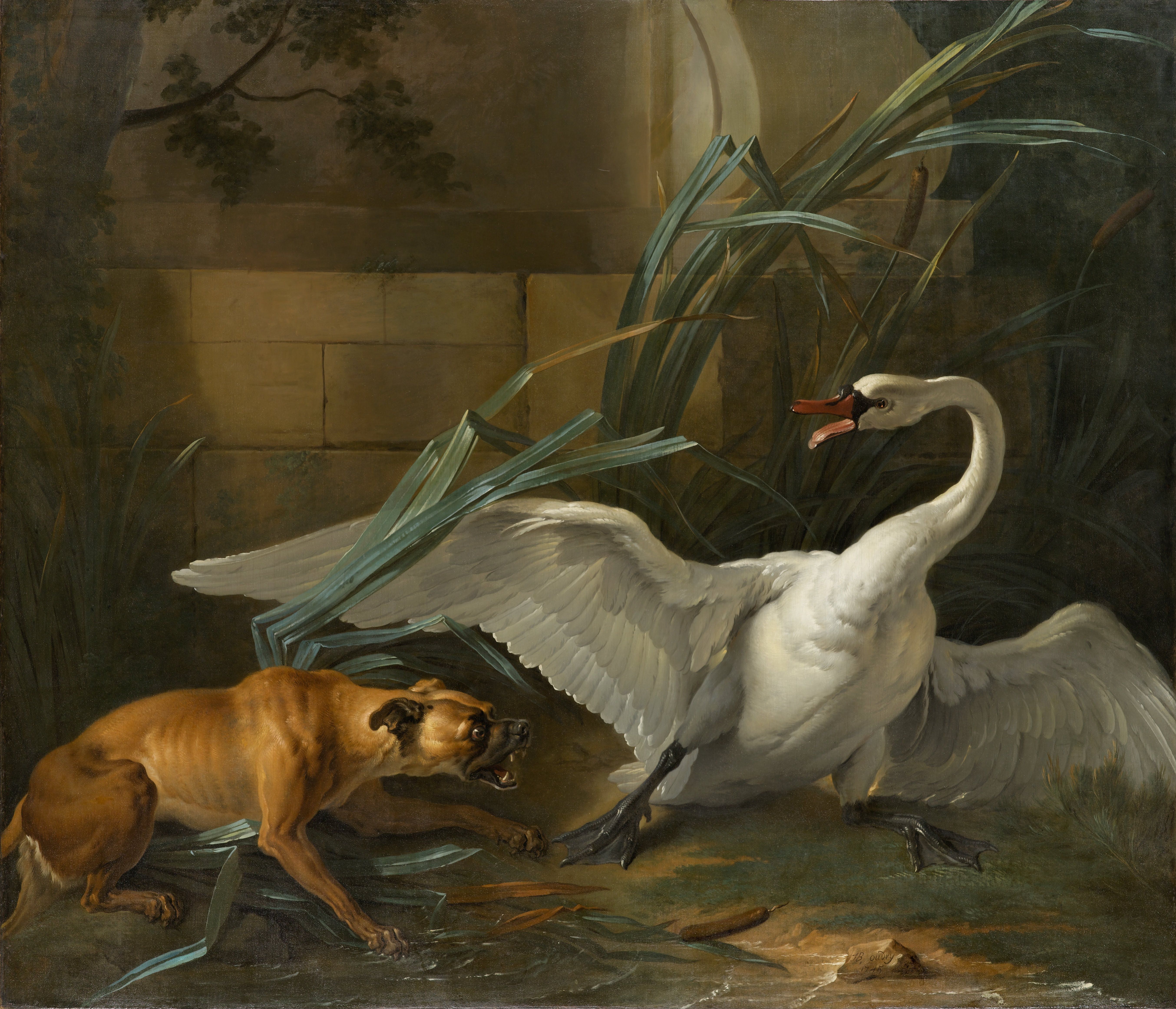 File:OUDRY Swan attacked by a dog.jpg