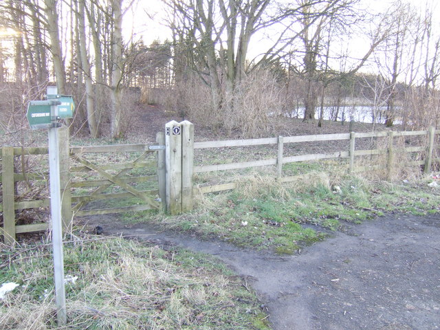 File:Oxfordshire Way - geograph.org.uk - 321143.jpg