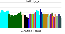 File:PBB GE PCYT1B 206751 s at tn.png