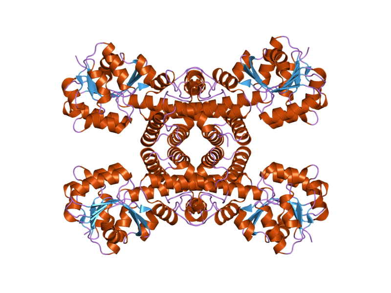 File:PDB 2gf2 EBI.png