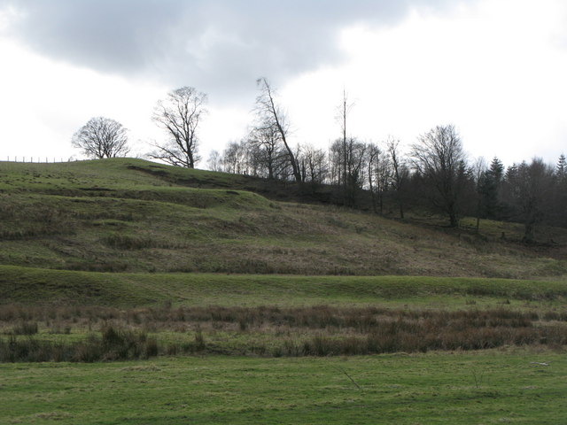 File:Pastures and plantation on the south bank of the River East Allen - geograph.org.uk - 716017.jpg