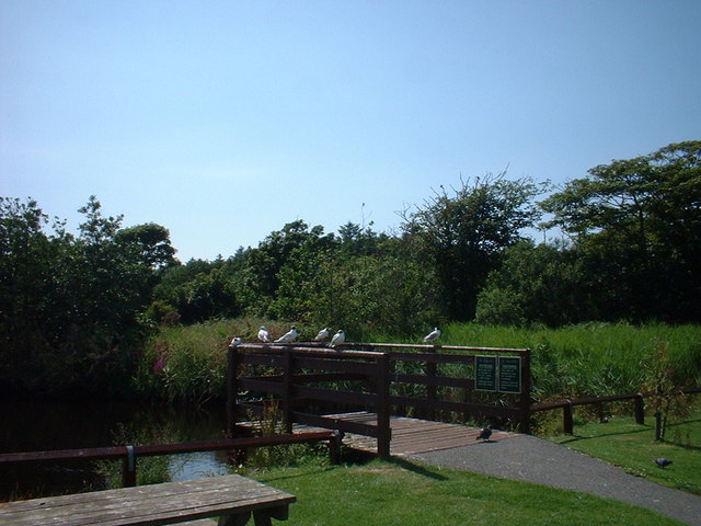 Penrhos Coastal Park - geograph.org.uk - 240409