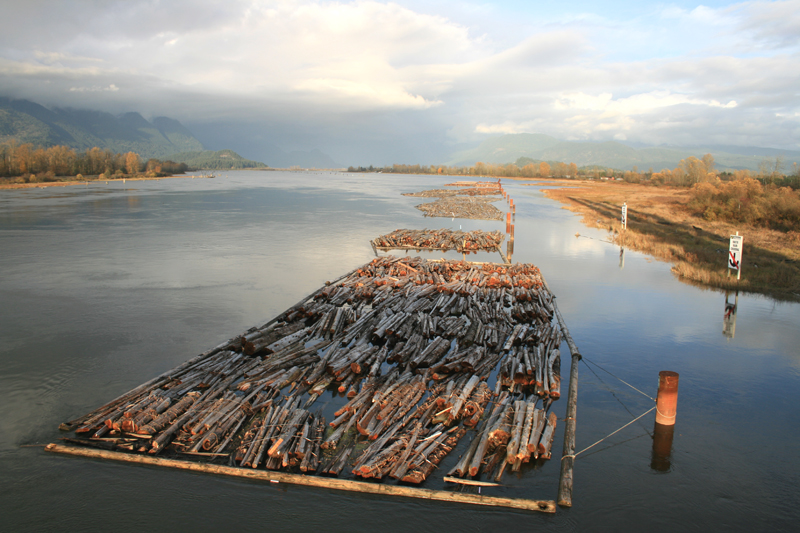 Lower Pitt River West side, Port Coquitlam, BC, Canada