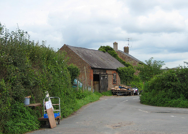 File:Plants for sale at Poolmill - geograph.org.uk - 956550.jpg