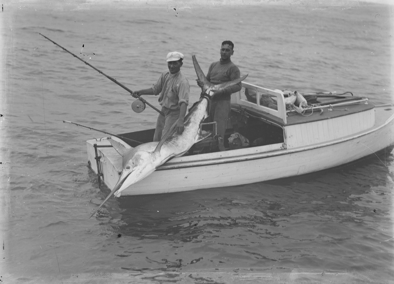 File:Portrait of two men on a fishing boat with caught billfish (AM  82353-1).jpg - Wikimedia Commons