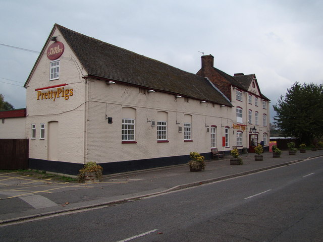 File:Pretty Pigs at Amington. - geograph.org.uk - 1027775.jpg