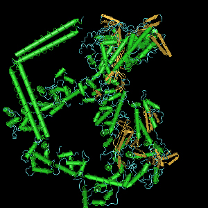 File:Proteine NEMO.jpg