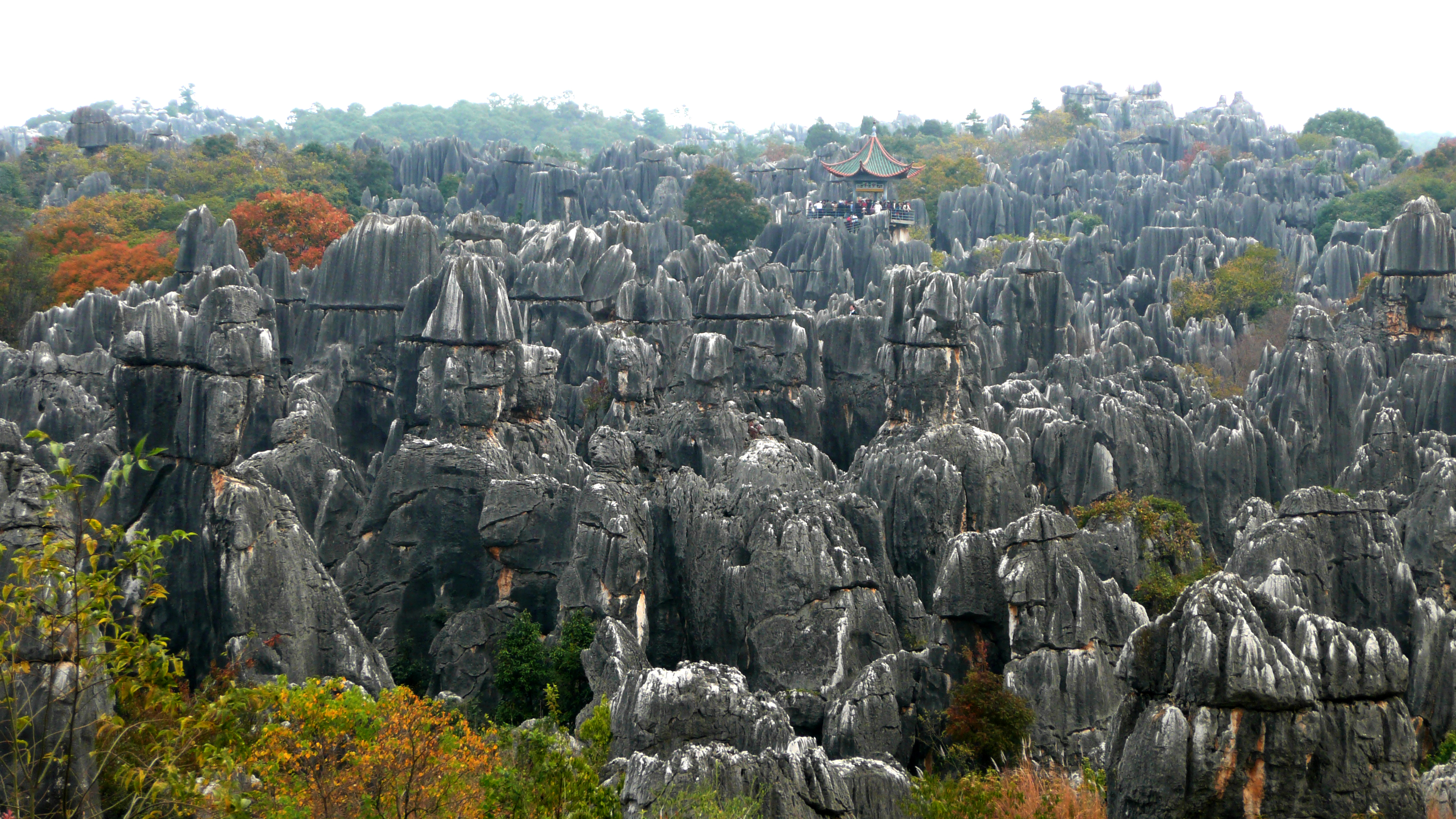 Shilin_Stone_Forest_01.JPG