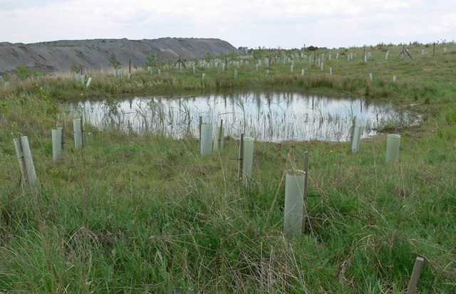 File:Small pond near Boothorpe - geograph.org.uk - 818097.jpg