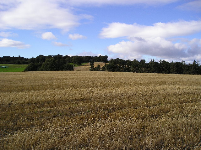 File:Stubble - geograph.org.uk - 54035.jpg