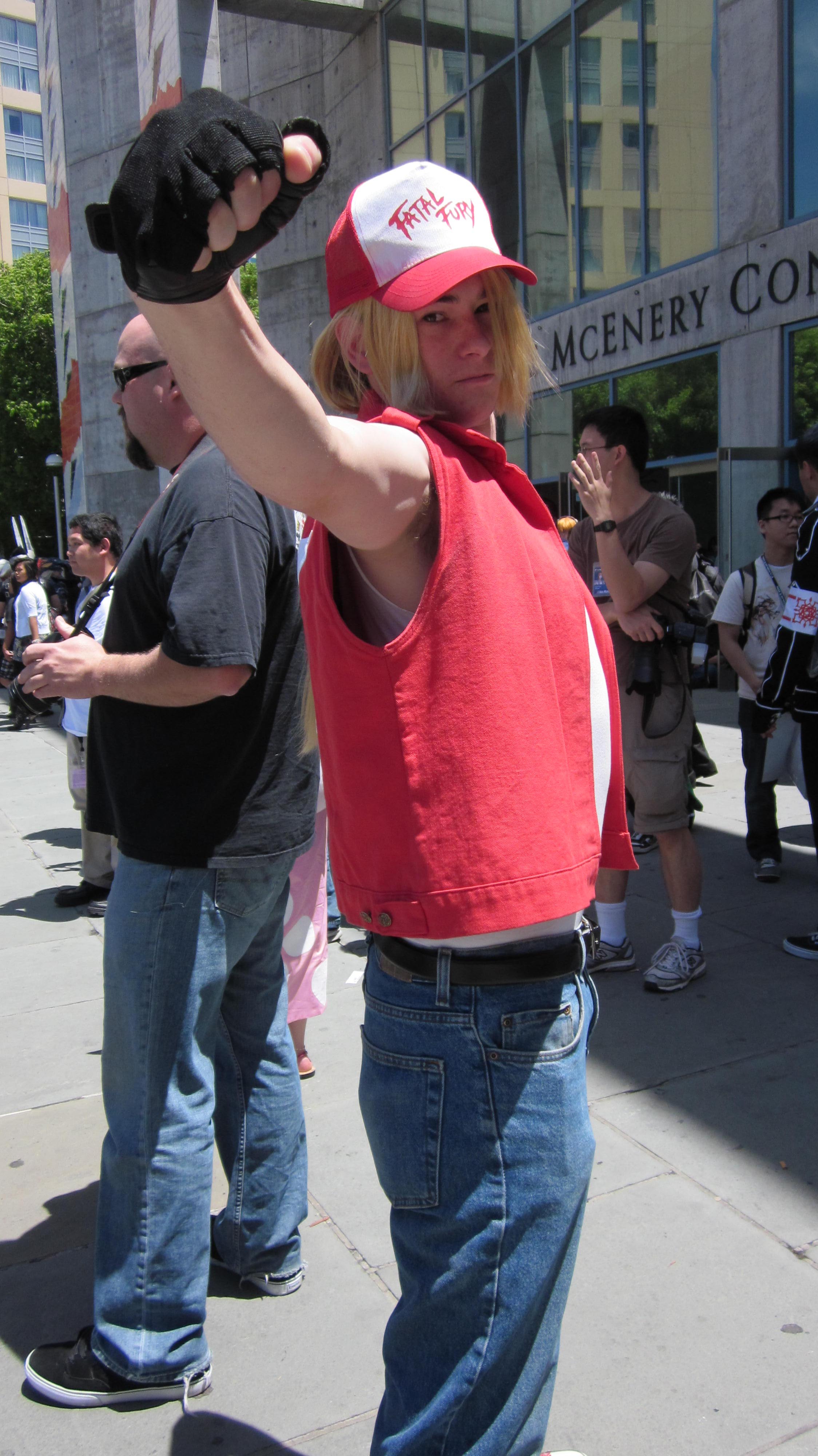 Terry Bogard - Wikipedia