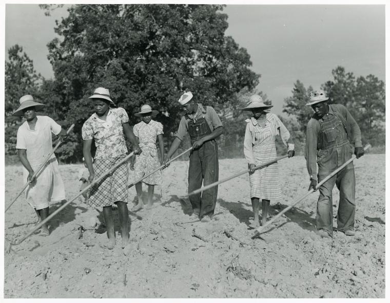 File:The family of Mr. Leroy Dunn, chopping cotton in a rented fi... (3110582208).jpg