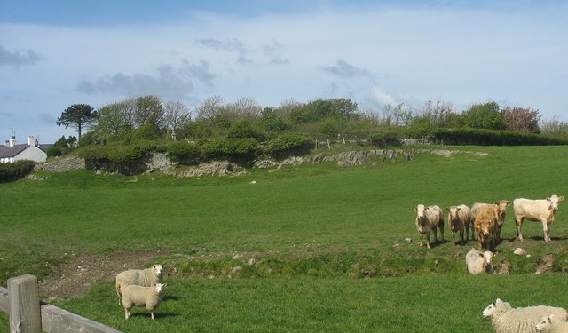 File:The site of the demolished St Enghenedl Church from the B5109 - geograph.org.uk - 1292425.jpg