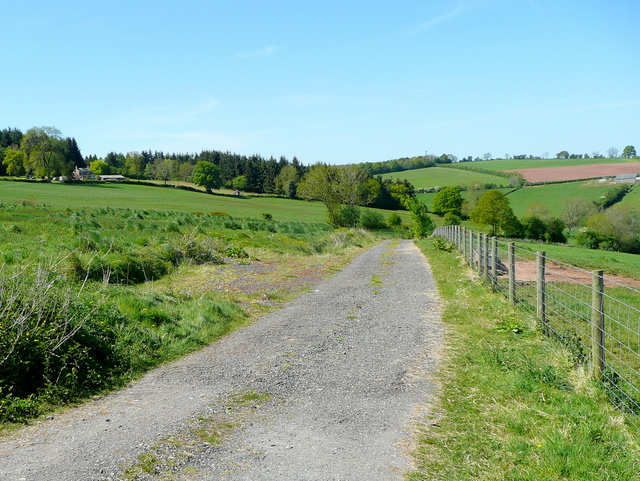 File:Track to Burnt Barn - geograph.org.uk - 1303872.jpg