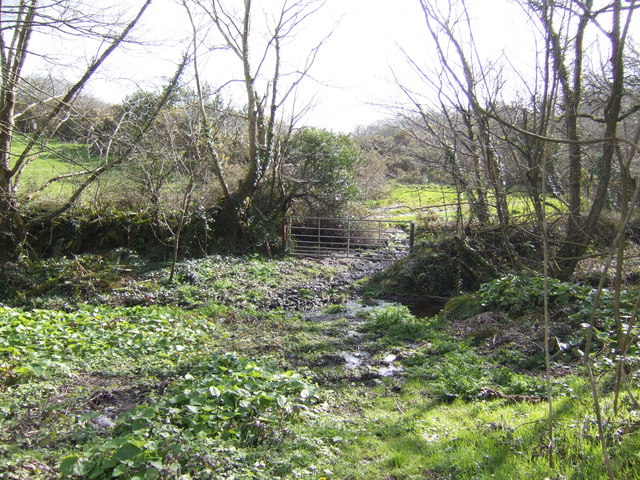 File:View near St Martin - geograph.org.uk - 369235.jpg